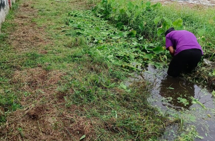  Lapas Sampit Gelar Aksi Bersih-Bersih di Area Luar Tembok Jelang Nataru